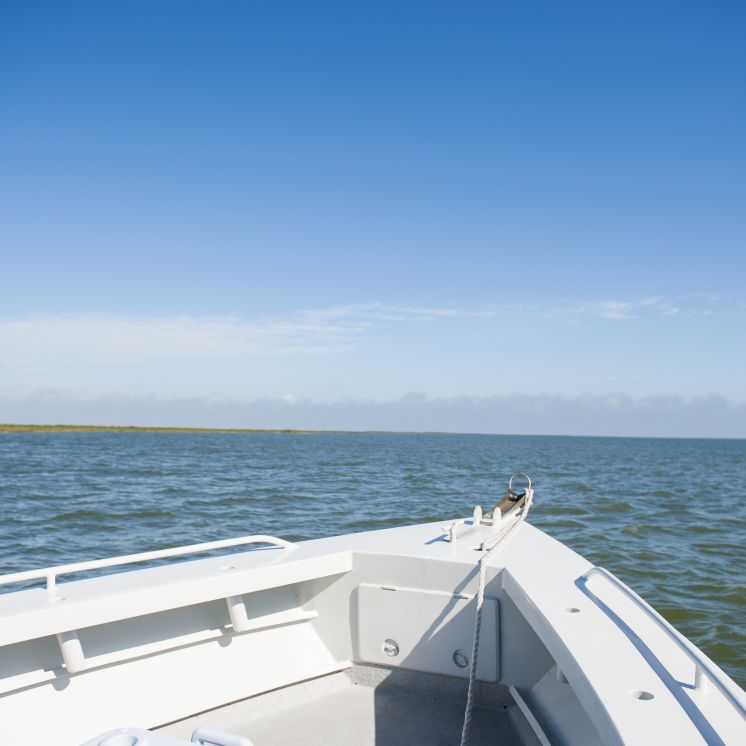 Top Water Charters