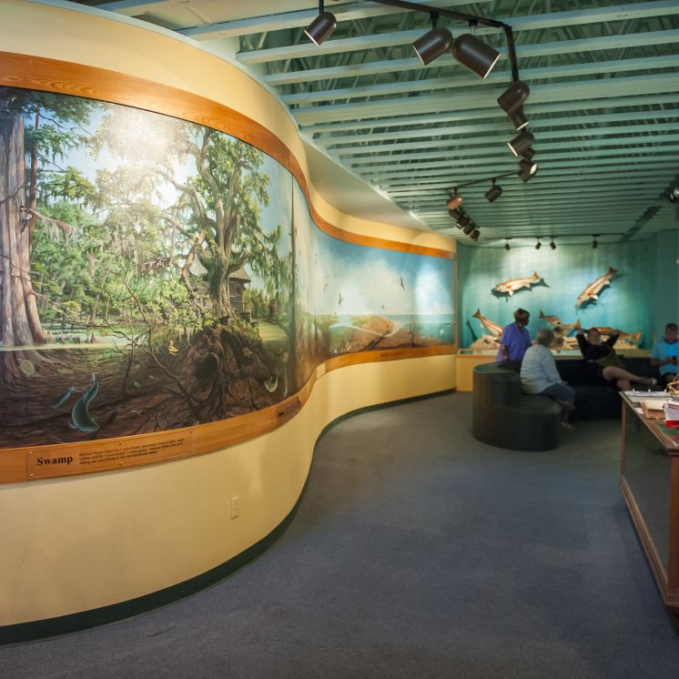 Bayou Terrebonne Waterlife Museum | Things to Do | Houma Travel